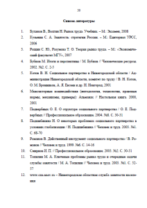 Особенности рынка труда на примере Нижегородской области или Нижнего Новгорода. Страница 30
