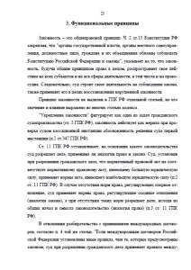 Принципы судопроизводства в современной России. Страница 23