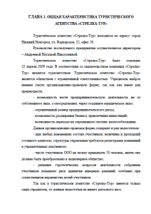 Продвижение турфирмы на рынке Нижнего Новгорода. Страница 5