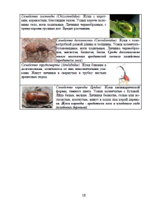 Жуки-вредители леса. Страница 18